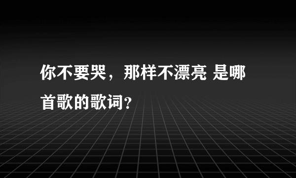 你不要哭，那样不漂亮 是哪首歌的歌词？