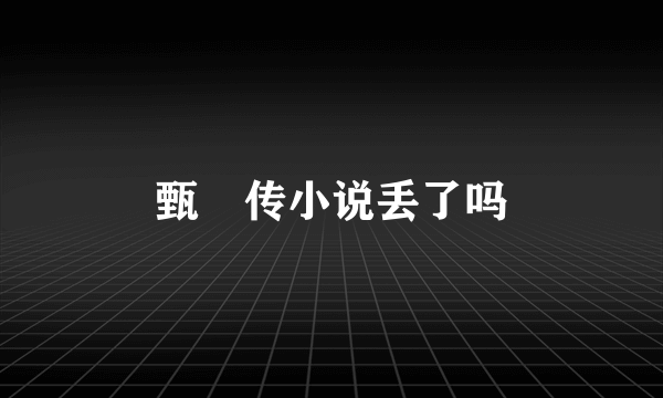 甄嬛传小说丢了吗