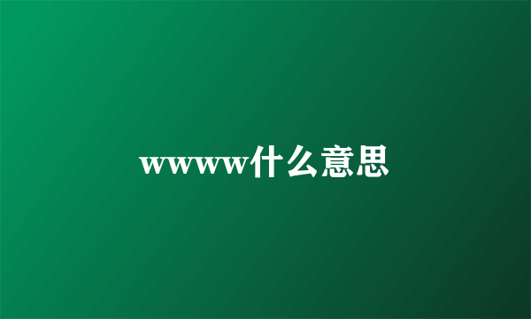 wwww什么意思