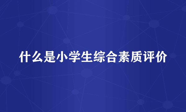 什么是小学生综合素质评价