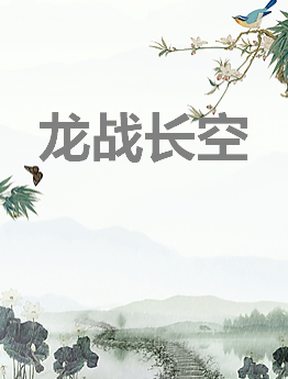 《龙战长空》by阳电"txt下载在线阅读全文，求百度网盘云资源