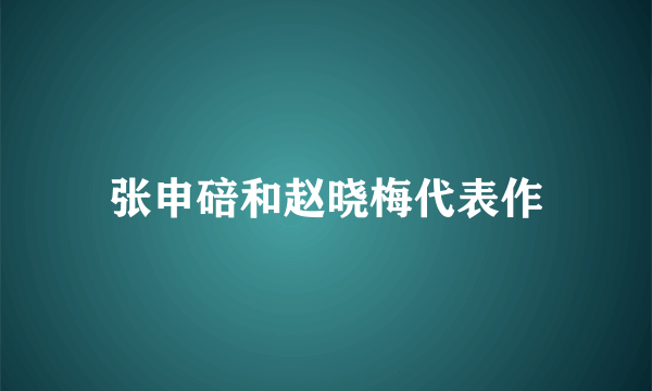 张申碚和赵晓梅代表作
