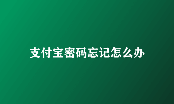 支付宝密码忘记怎么办