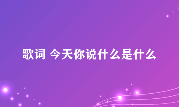 歌词 今天你说什么是什么