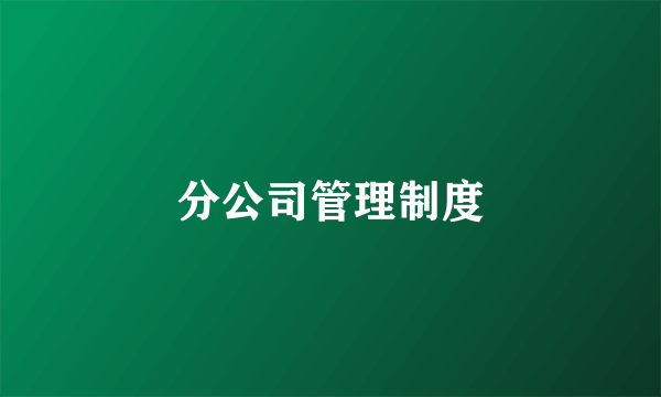 分公司管理制度