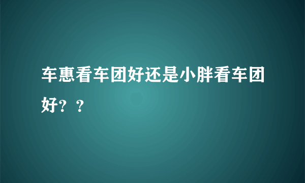 车惠看车团好还是小胖看车团好？？