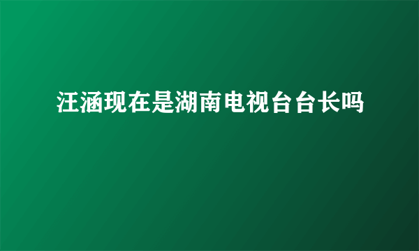 汪涵现在是湖南电视台台长吗