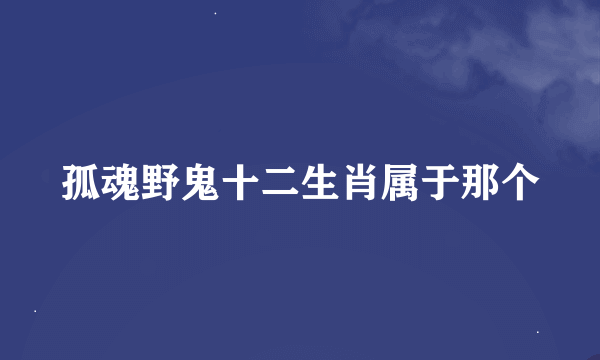 孤魂野鬼十二生肖属于那个