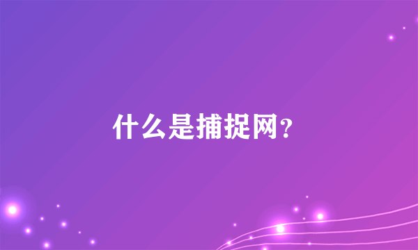 什么是捕捉网？