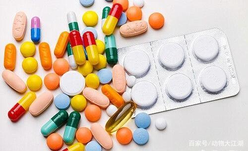 吃什么对肝脏好？