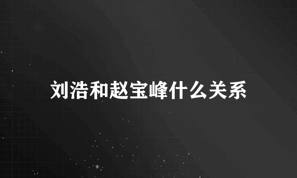 刘浩和赵宝峰什么关系