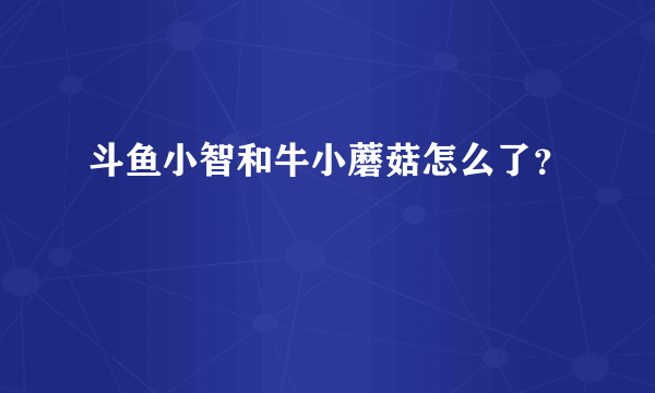 斗鱼小智和牛小蘑菇怎么了？