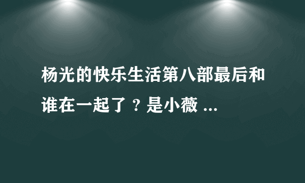 杨光的快乐生活第八部最后和谁在一起了 ? 是小薇 还是夏利,还是 边萍 ?