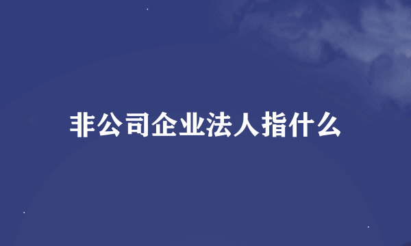 非公司企业法人指什么
