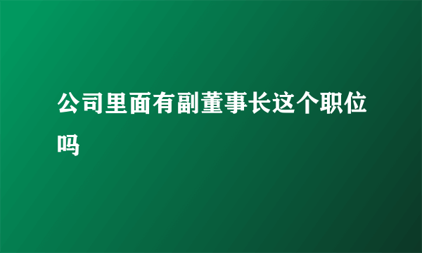公司里面有副董事长这个职位吗