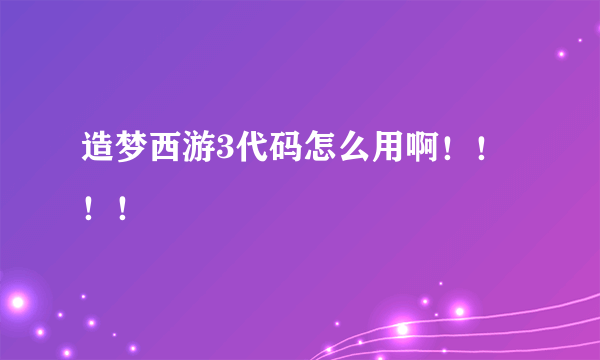 造梦西游3代码怎么用啊！！！！