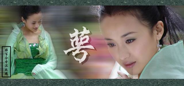 金庸小说里谁的胸部最大？王语嫣第三