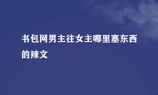 书包网男主往女主哪里塞东西的辣文