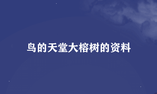 鸟的天堂大榕树的资料