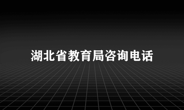 湖北省教育局咨询电话