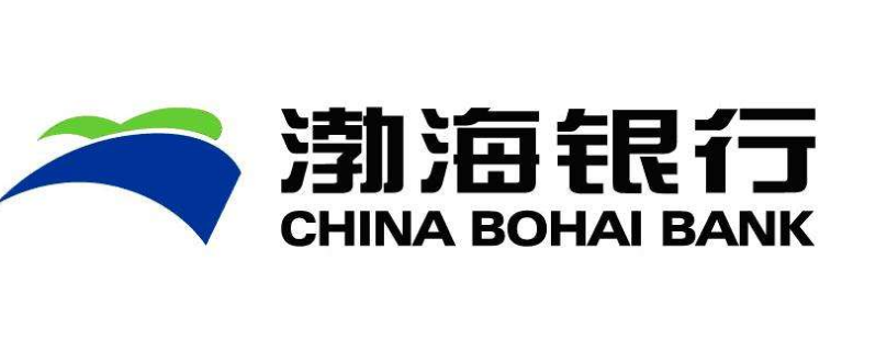 12家全国性股份制商业银行