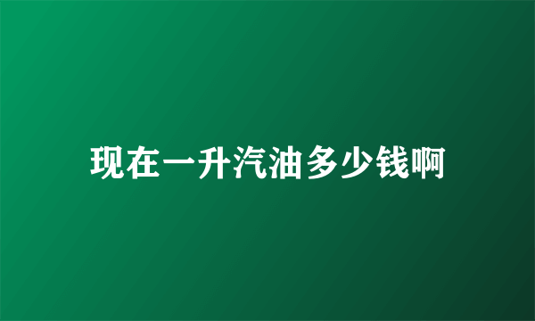 现在一升汽油多少钱啊