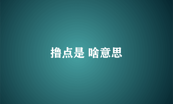 撸点是 啥意思