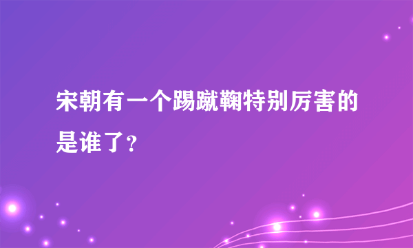 宋朝有一个踢蹴鞠特别厉害的是谁了？