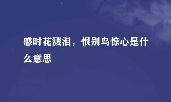 感时花溅泪，恨别鸟惊心是什么意思