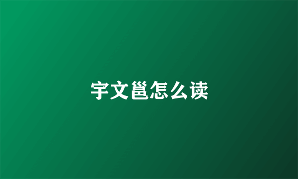 宇文邕怎么读