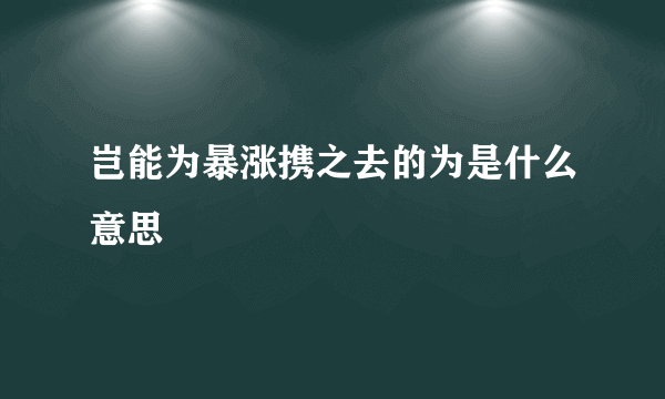 岂能为暴涨携之去的为是什么意思