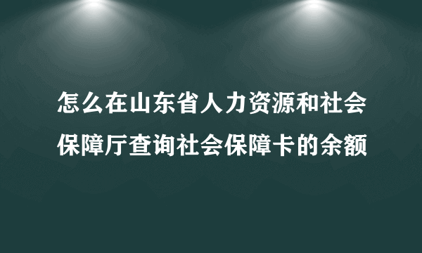 怎么在山东省人力资源和社会保障厅查询社会保障卡的余额