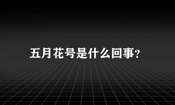 五月花号是什么回事？