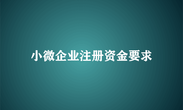 小微企业注册资金要求