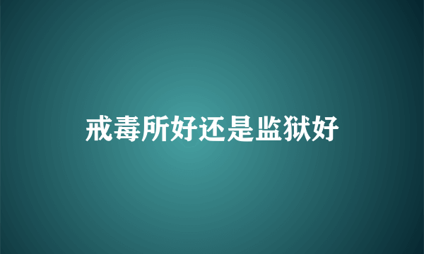 戒毒所好还是监狱好