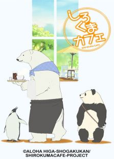 跪求动画【白熊咖啡厅】中日双语字幕版资源 一定要有日语字幕版