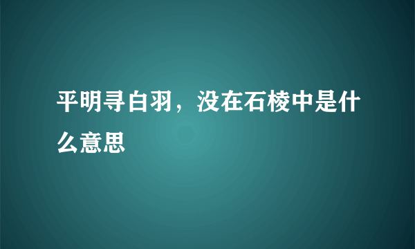 平明寻白羽，没在石棱中是什么意思