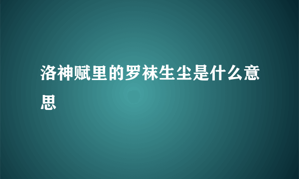 洛神赋里的罗袜生尘是什么意思