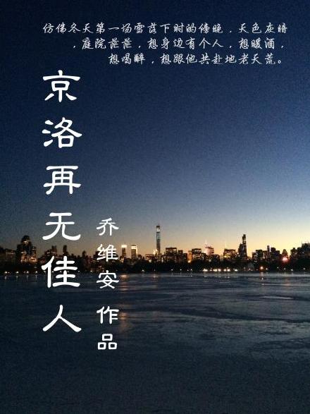 京洛再无佳人txt网盘
