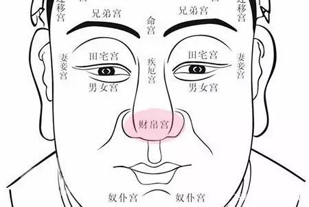 男人鼻头大代表什么