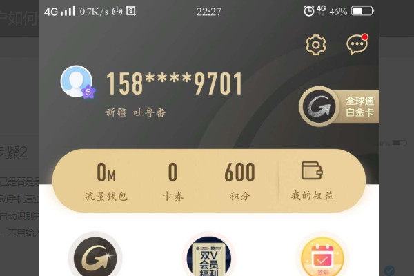 移动的VIP全球通银卡都有什么用啊？