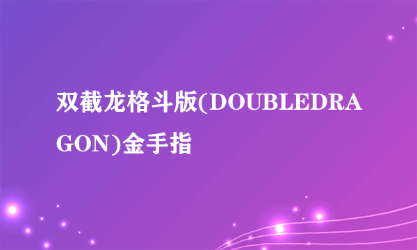 双截龙格斗版(DOUBLEDRAGON)金手指