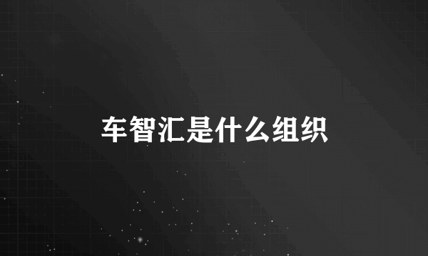 车智汇是什么组织