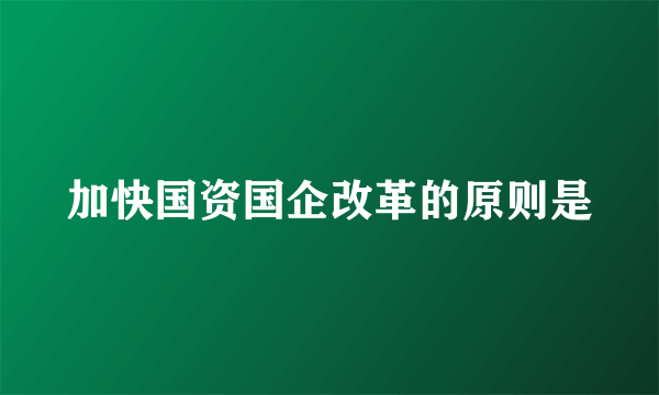 加快国资国企改革的原则是