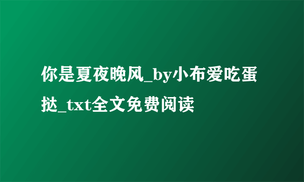 你是夏夜晚风_by小布爱吃蛋挞_txt全文免费阅读