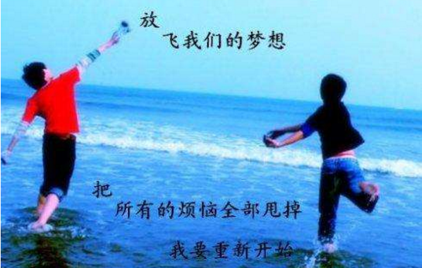 de novo是什么意思