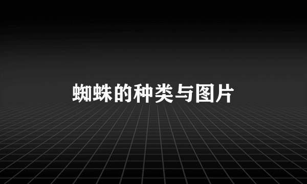 蜘蛛的种类与图片