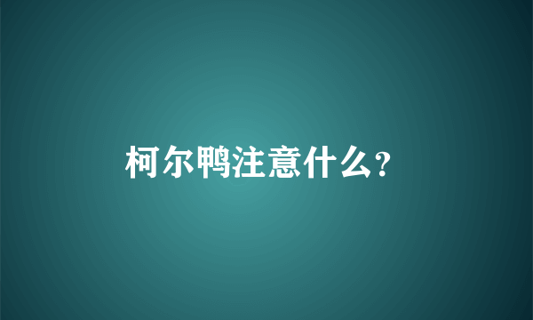 柯尔鸭注意什么？