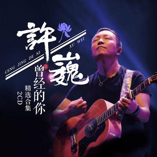 许巍歌曲大全在线听免费，求百度网盘下载资源