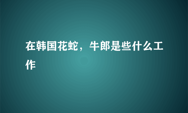 在韩国花蛇，牛郎是些什么工作
